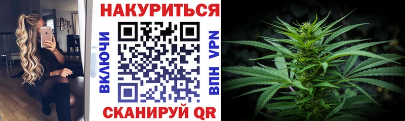 Бошки марихуана планчик  блэк спрут   Дигора 